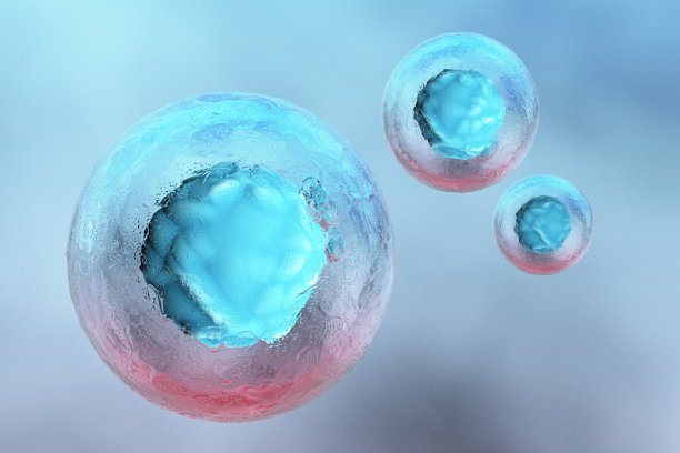 人类细胞图片下载