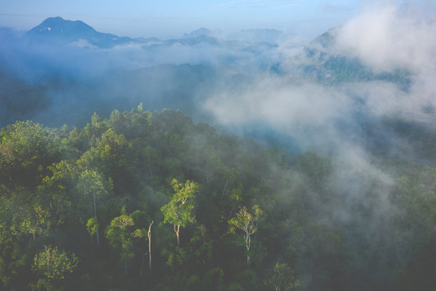 热带雨林鸟瞰图。老挝北部。东南亚。无人机从上面拍摄的照片。鸟瞰图。图片下载
