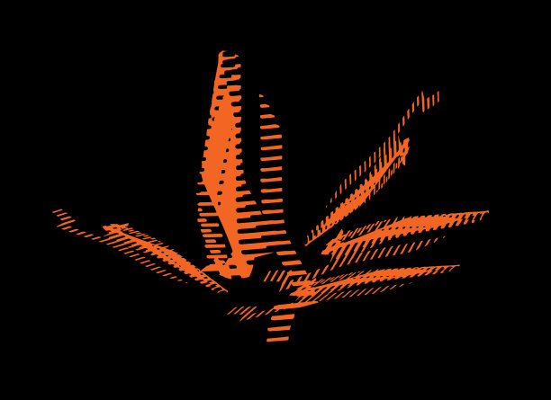 抽象的现代背景。创造性的形式。橙色的形状在黑色上。几何图案。明亮的图形结构。图片下载