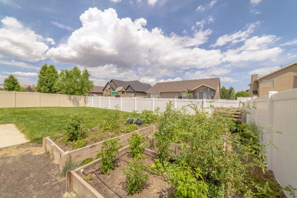 植物和蔬菜生长在一个家庭的后院里图片下载