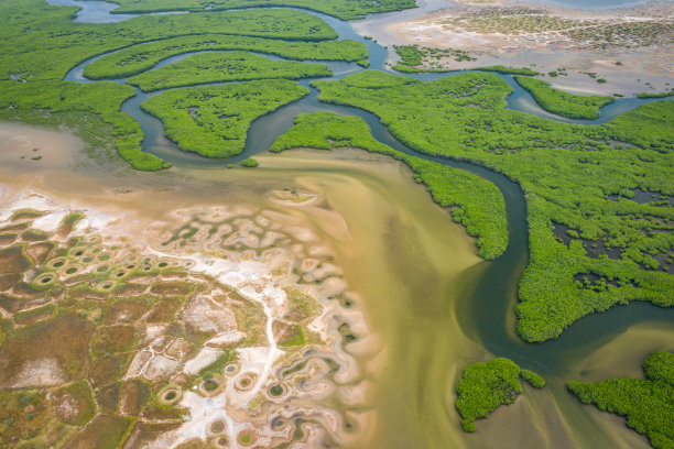 鸟瞰图的红树林在萨鲁姆三角洲国家公园，焦阿尔Fadiout，塞内加尔。无人机从上面拍摄的照片。非洲的自然景观。图片下载