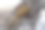 苔藓在岩石上生长成熟图片下载