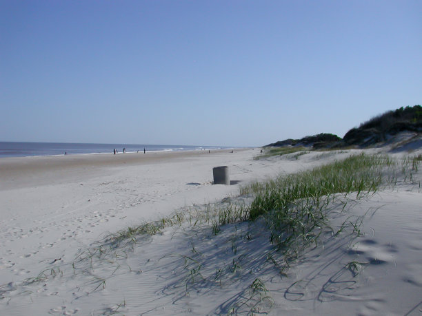 阳光明媚的海滩图片下载