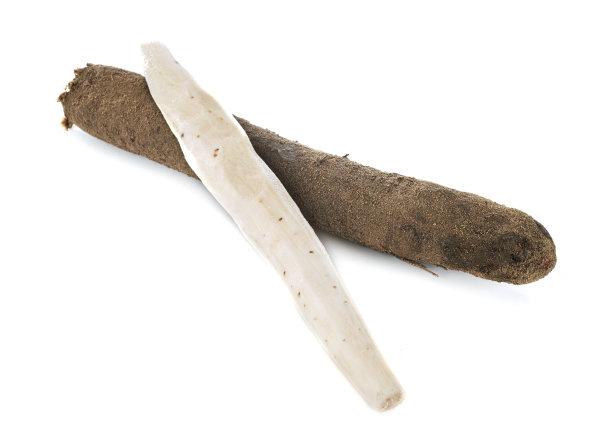 新鲜的婆罗门参图片下载