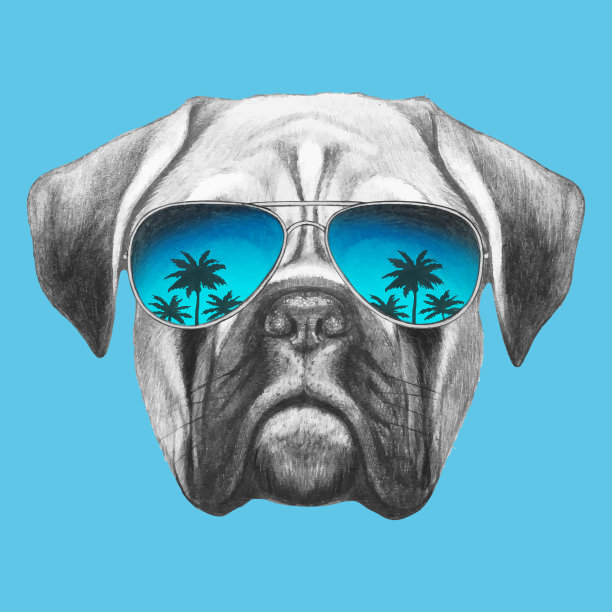 戴着太阳镜的拳师犬的肖像。手绘插图。向量孤立的元素。图片下载