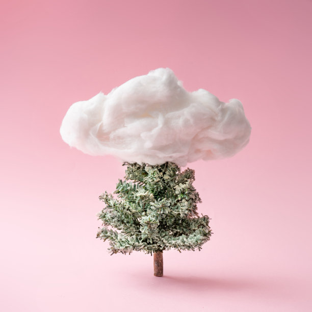 圣诞组成。粉红色背景上有云的圣诞树。图片下载