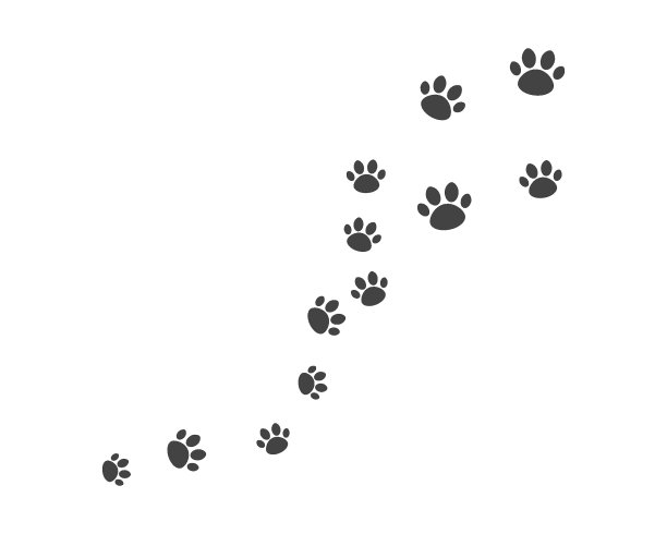 爪子背景模板图片下载