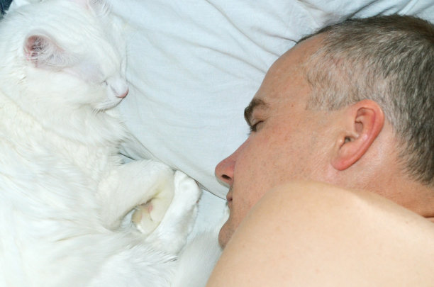 男人和猫睡在一起图片下载