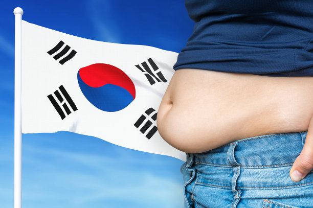 韩国的肥胖问题。背景是超重女性。图片下载