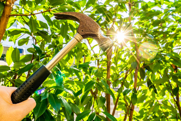 用阳光锤击。图片下载