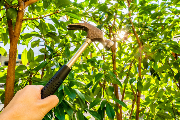 用阳光锤击。图片下载