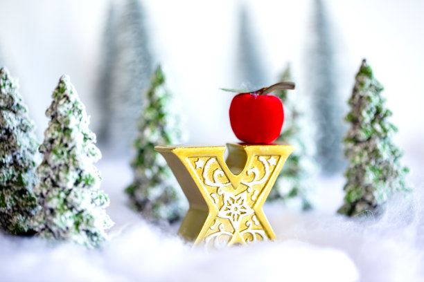 森林里的迷你雪圣诞树。散景灯的背景图片下载