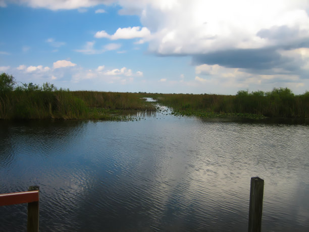俯瞰湖面，可以看到大沼泽地图片下载