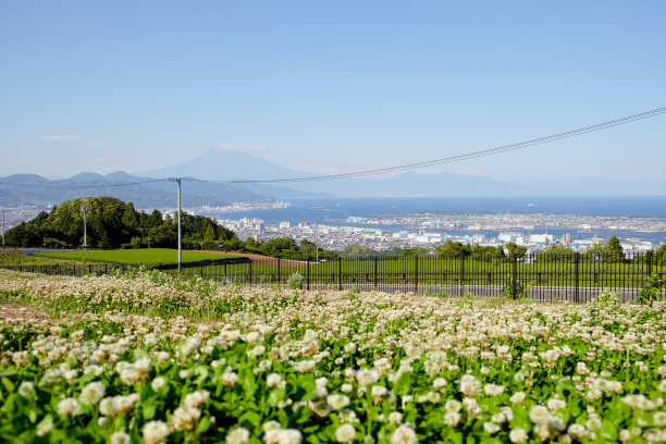 柔软的，选择性的焦点在前面的城市景观，湖和富士山在日本图片下载