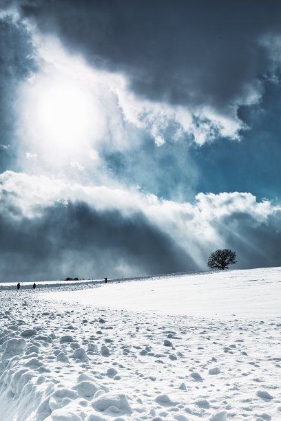 北海道北依的雪山和桦树图片下载