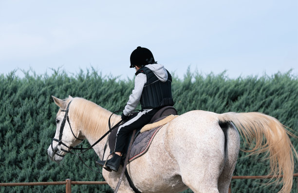 后视图的孩子骑白马期间骑马课。图片下载