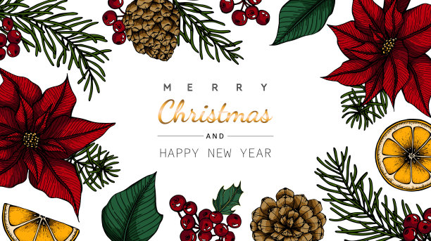 圣诞快乐和新年背景和贺卡与鲜花和树叶图画插图。图片下载