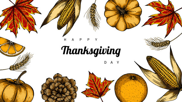 感恩节的背景和贺卡与花和树叶图画插图。图片下载