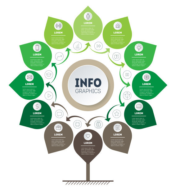 具有12个选项和24个图标的业务表示或信息图概念。模板树，信息图或图表。绿色技术或教育过程的十二步矢量信息图表。图片下载