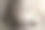 鼻子上的黑点。关闭了。图片下载