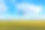 空中飞过盛开的黄色向日葵田，碧空无云。蓝天下的向日葵和白云。精彩的无人机生态概念照片图片下载