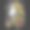 独角兽幻想玫瑰矢量插图图片下载