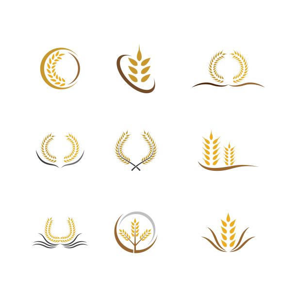 小麦矢量图标图片下载