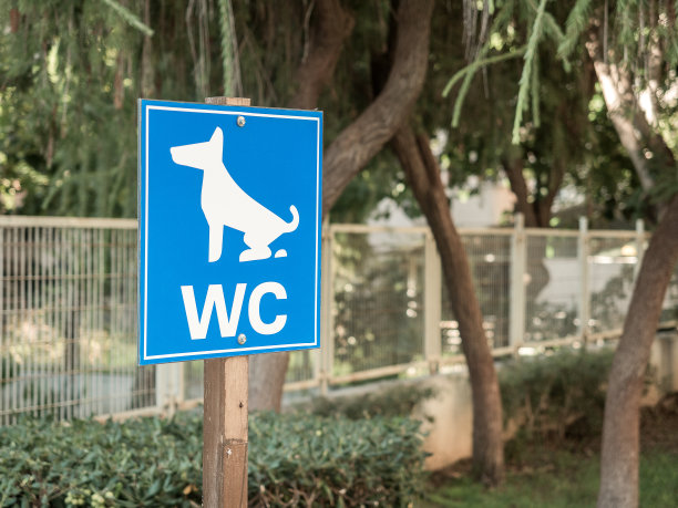 城市公园的狗厕所标志。动物保健。特写镜头图片下载
