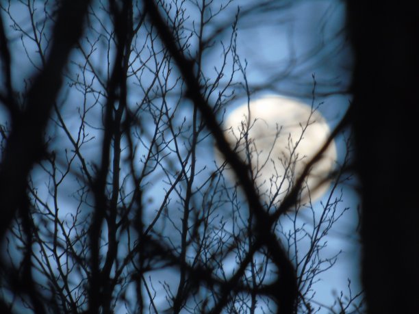 月光在白天图片下载