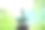 种植仙人掌作为一种爱好图片下载
