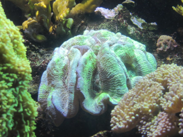 水生活图片下载