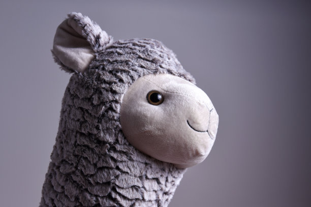 可爱的毛绒羊驼动物脸图片下载