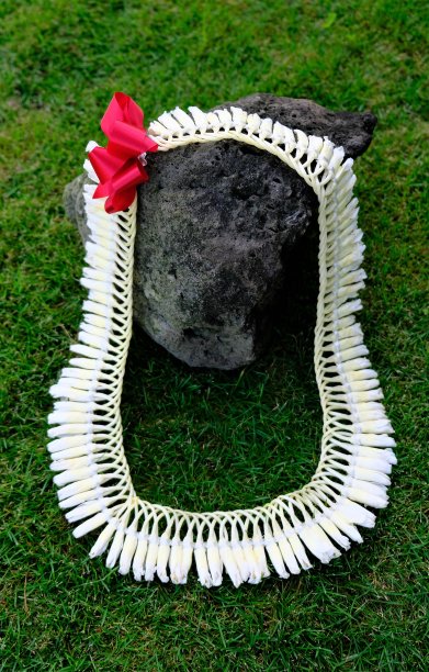 真正的夏威夷花花环在绿草背景的熔岩周围展示图片下载