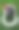 真正的夏威夷花花环在绿草背景的熔岩周围展示图片下载