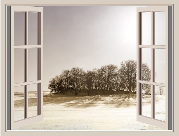 窗外的景色是白雪皑皑的树木图片下载