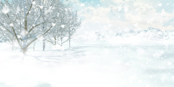 圣诞树被雪覆盖图片下载