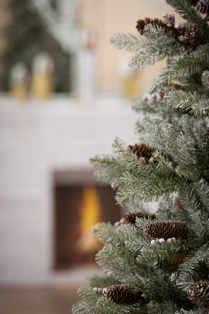一个有松果的圣诞冷杉树的特写。人造圣诞树与天然松果设置在家里庆祝圣诞节或新年。节日的气氛。节日的概念图片下载