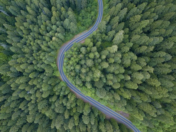 顶部鸟瞰图的夏季山景观与树木和道路。美国俄勒冈州,华盛顿州。森林中公路的鸟瞰图。图片下载