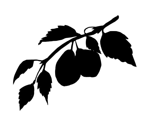 柠檬模式图片下载