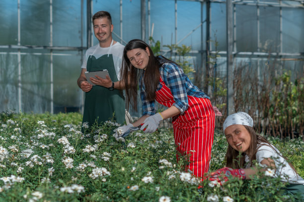 花园中心的团队。快乐地工作，为自然和环境做些事情。图片下载