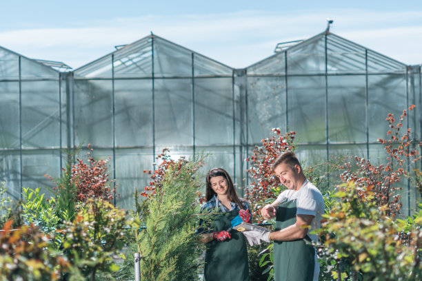 花园中心的家庭。快乐地工作，为自然和环境做些事情。图片下载