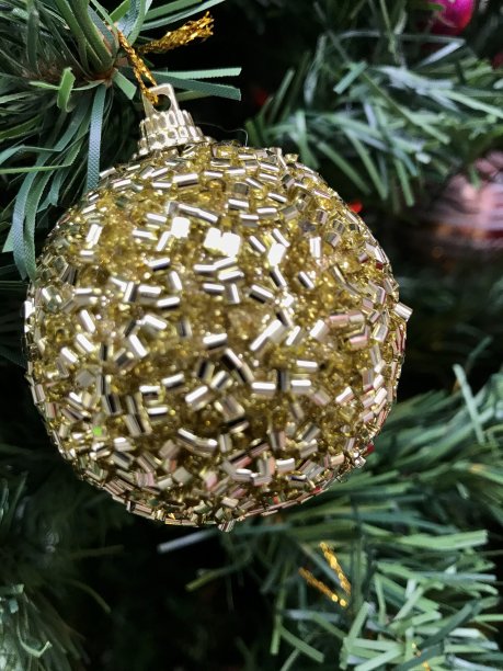 彩色气球和松树为圣诞节图片下载