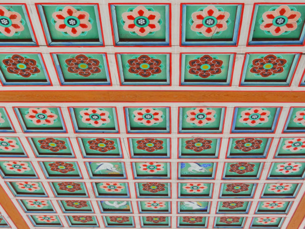 VH544天花板精美图片图片下载