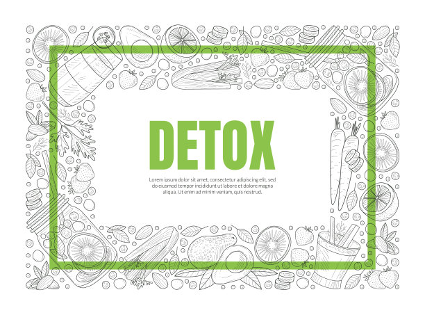 从水果和蔬菜的轮廓框架。矢量图图片下载