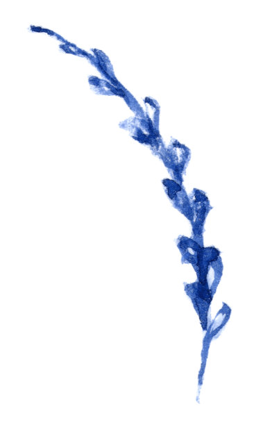 手绘孤立水彩叶花元素图片下载