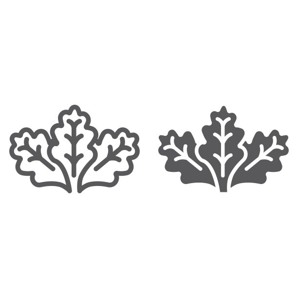 生菜线性图标和标志，蔬菜有机沙拉标志，矢量图形，白色背景上的线性图案图片下载