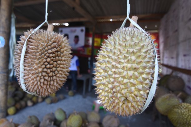 榴莲堆在榴莲的中心图片下载