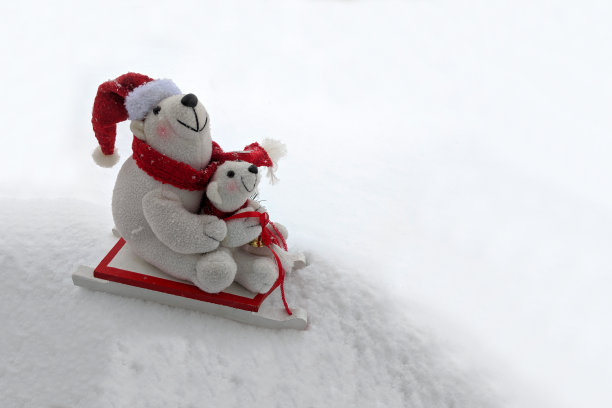 北极熊坐在装饰雪橇上滑下雪山近距离抽象图片下载