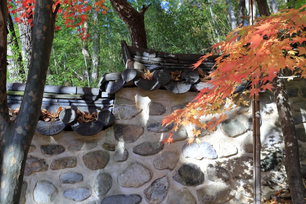 美丽的秋天树叶图片下载