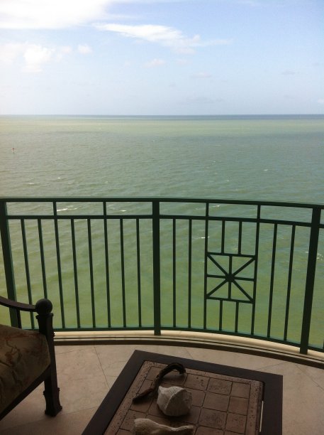 公寓视图的海湾马可岛佛罗里达图片下载